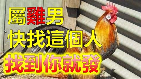 屬雞配對|屬雞的和什么配婚姻最好 屬雞的最佳婚配表